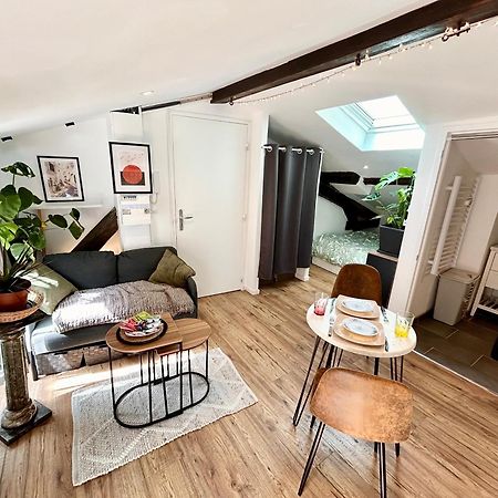 Loft Hortensia Climatise Hyper Centre Castres Кастр Екстериор снимка