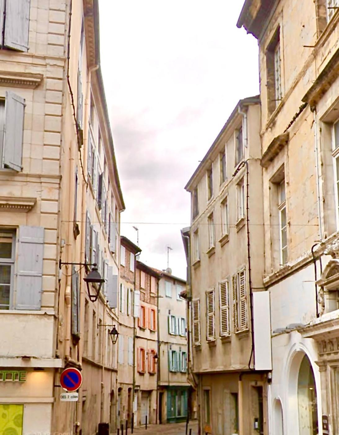 Loft Hortensia Climatise Hyper Centre Castres Кастр Екстериор снимка