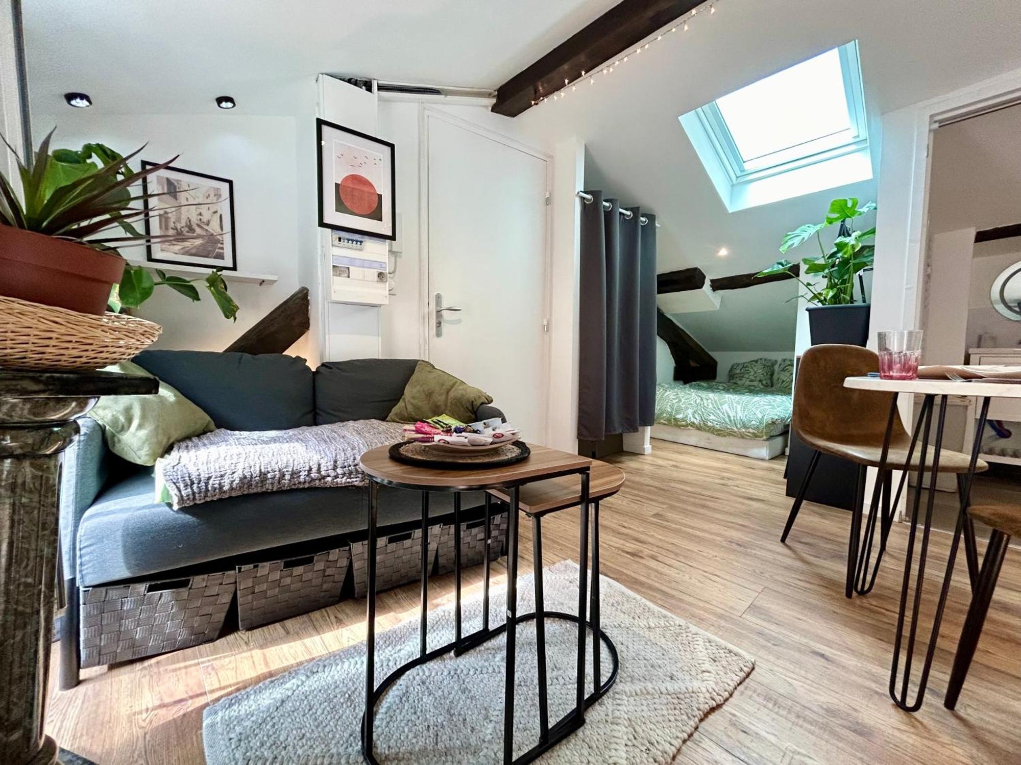 Loft Hortensia Climatise Hyper Centre Castres Кастр Екстериор снимка