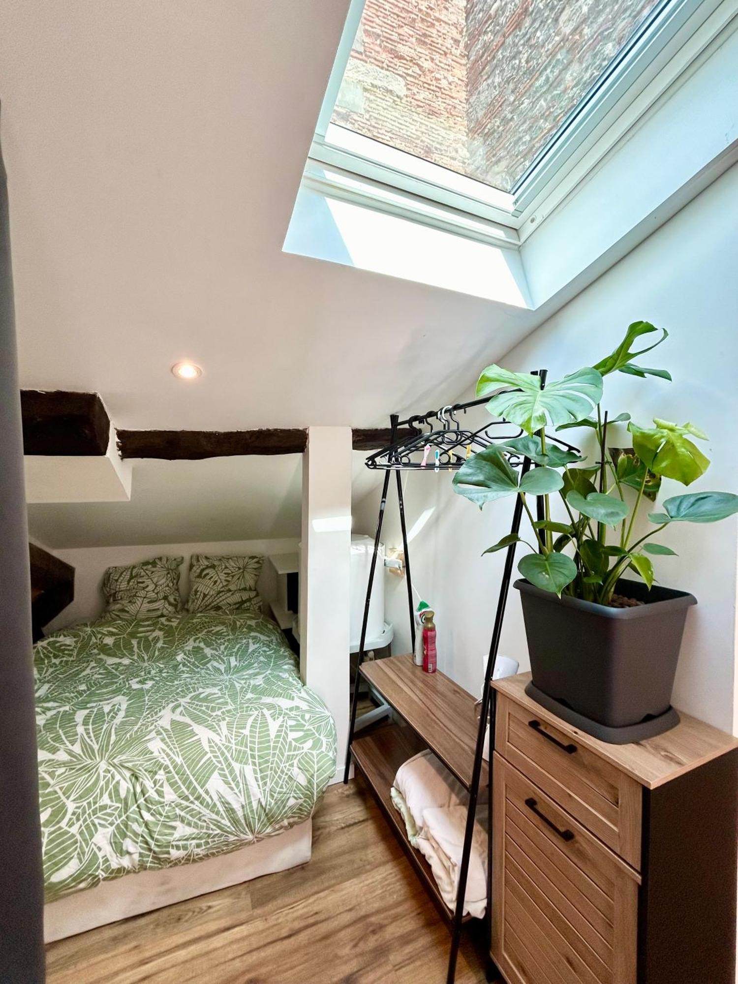 Loft Hortensia Climatise Hyper Centre Castres Кастр Екстериор снимка