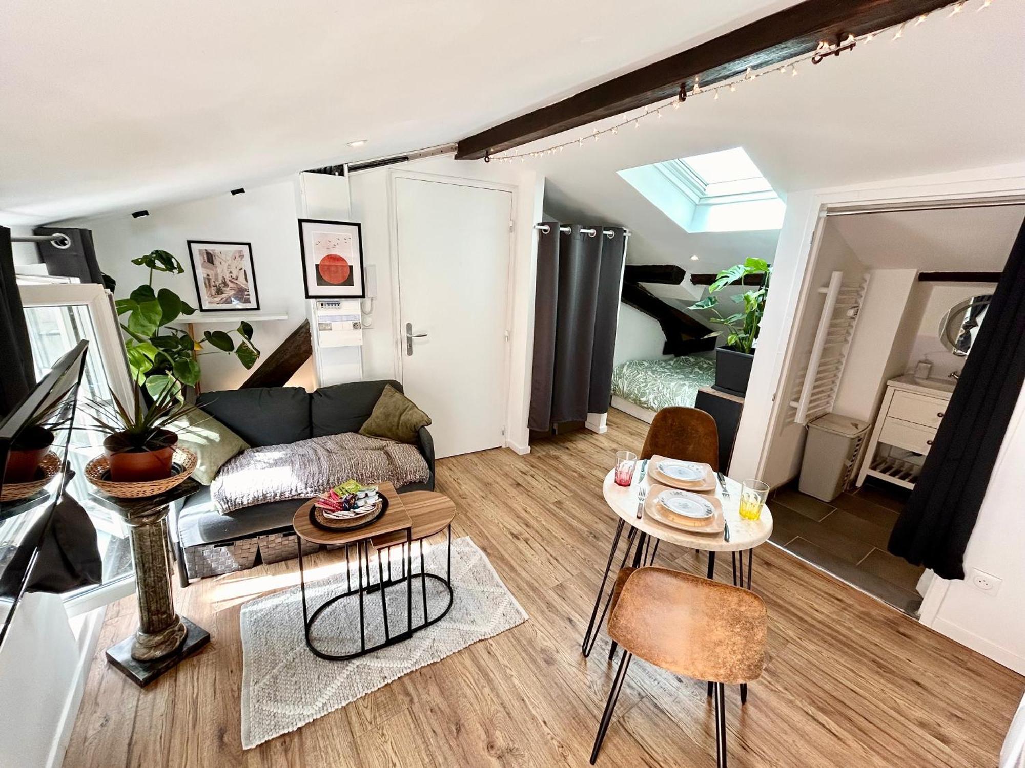 Loft Hortensia Climatise Hyper Centre Castres Кастр Екстериор снимка
